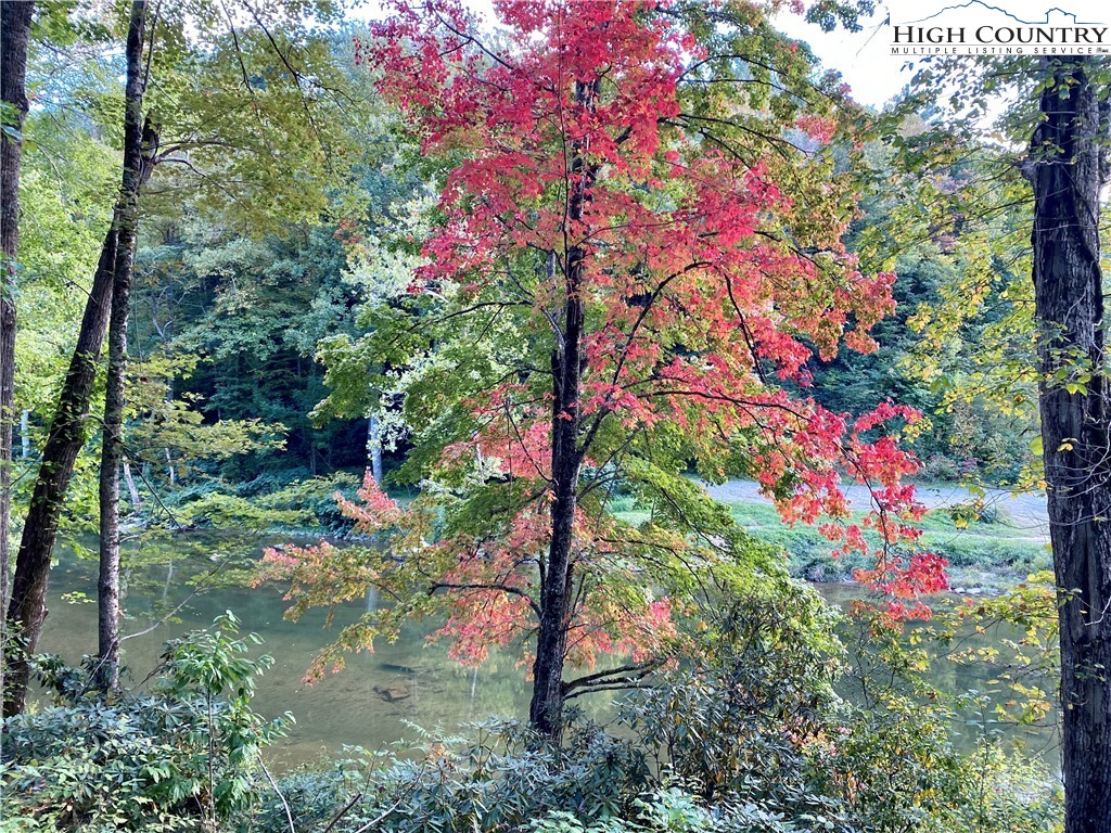 Guy Ford Road Sugar Grove, NC 28679 - Photo 4 of 13 Gallery Image 4