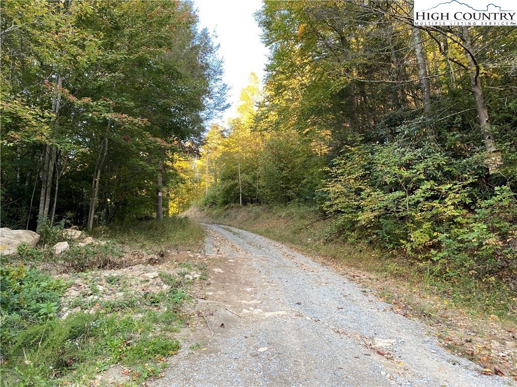 Guy Ford Road Sugar Grove, NC 28679 - Photo 10 of 13 Gallery Image 10