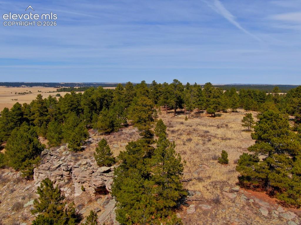 18673 Elbert Road Elbert, CO 80106 - Photo 6 of 29 Rimrock over view