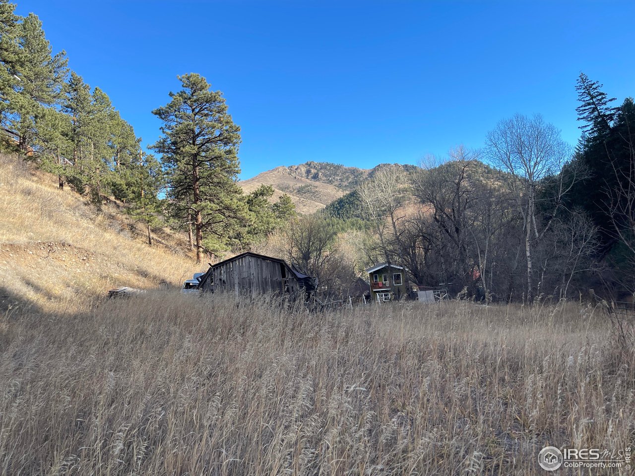 111 12th Street Jamestown, CO 80455 - Photo 5 of 8