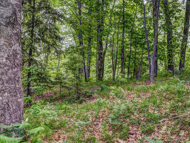 Lot 1 Coveyville Road Phelps, WI 54554 - Photo 7 of 10 Gallery Image 7