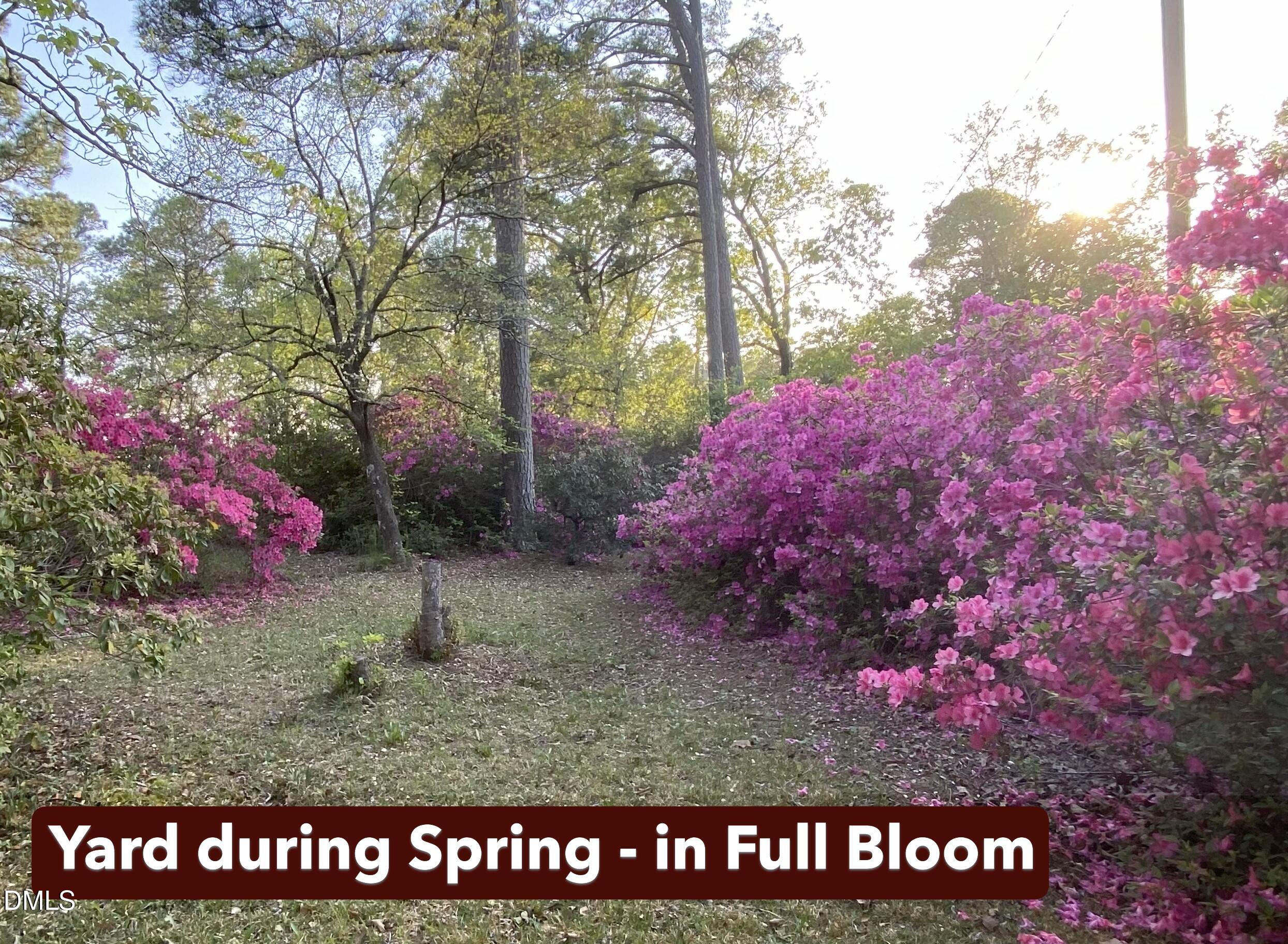 562 Elevation Road Four Oaks, NC 27524 - Photo 39 of 42 Front Yard - Spring - Full Bloom 2