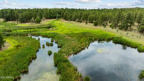 a view of a garden with a lake