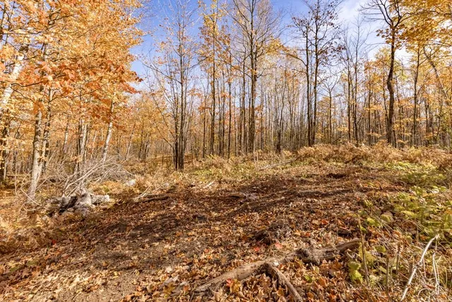 $135,000 | Xxx Catherine Street, Duluth, MN 55803