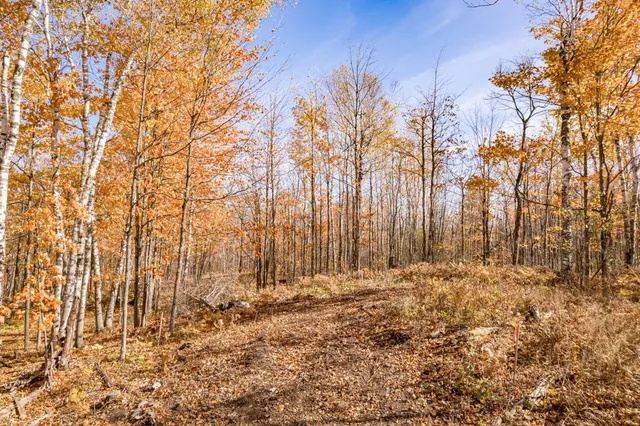 $135,000 | Xxx Catherine Street, Duluth, MN 55803