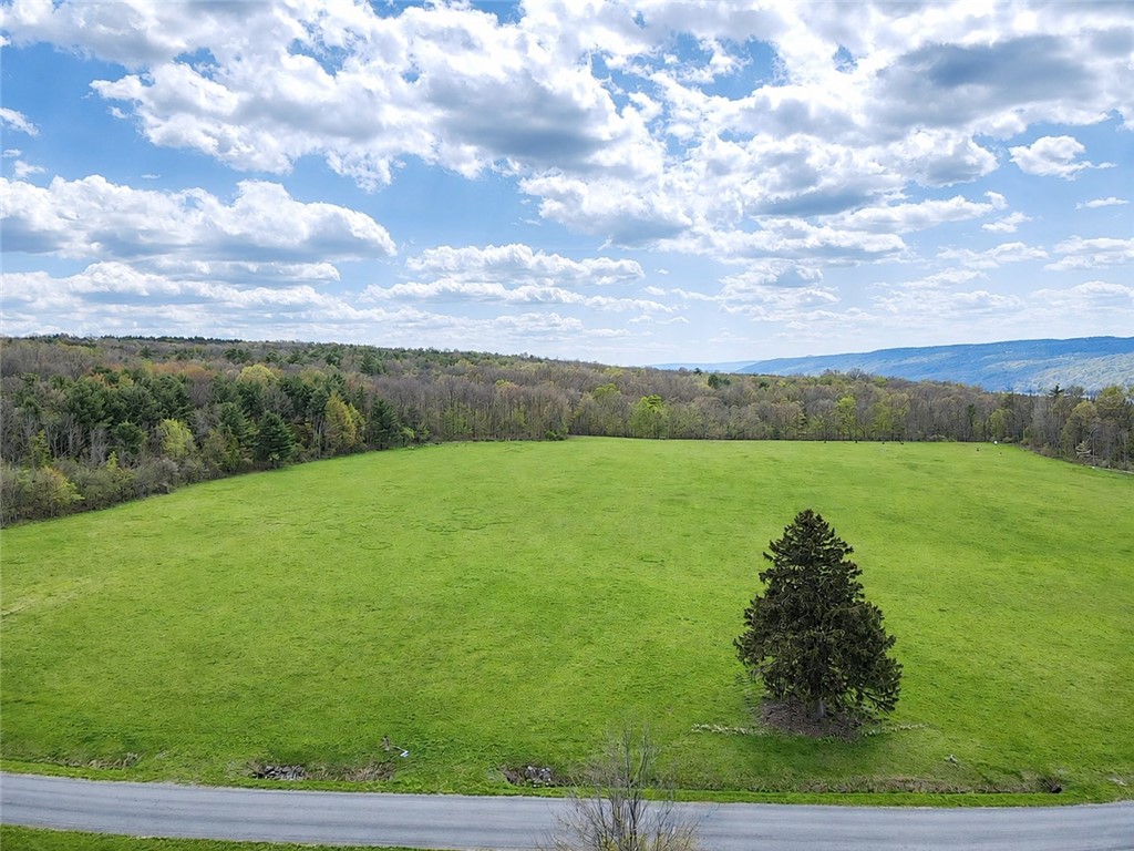 0 Sisson Road Penn Yan, NY 14527 - Photo 14 of 23