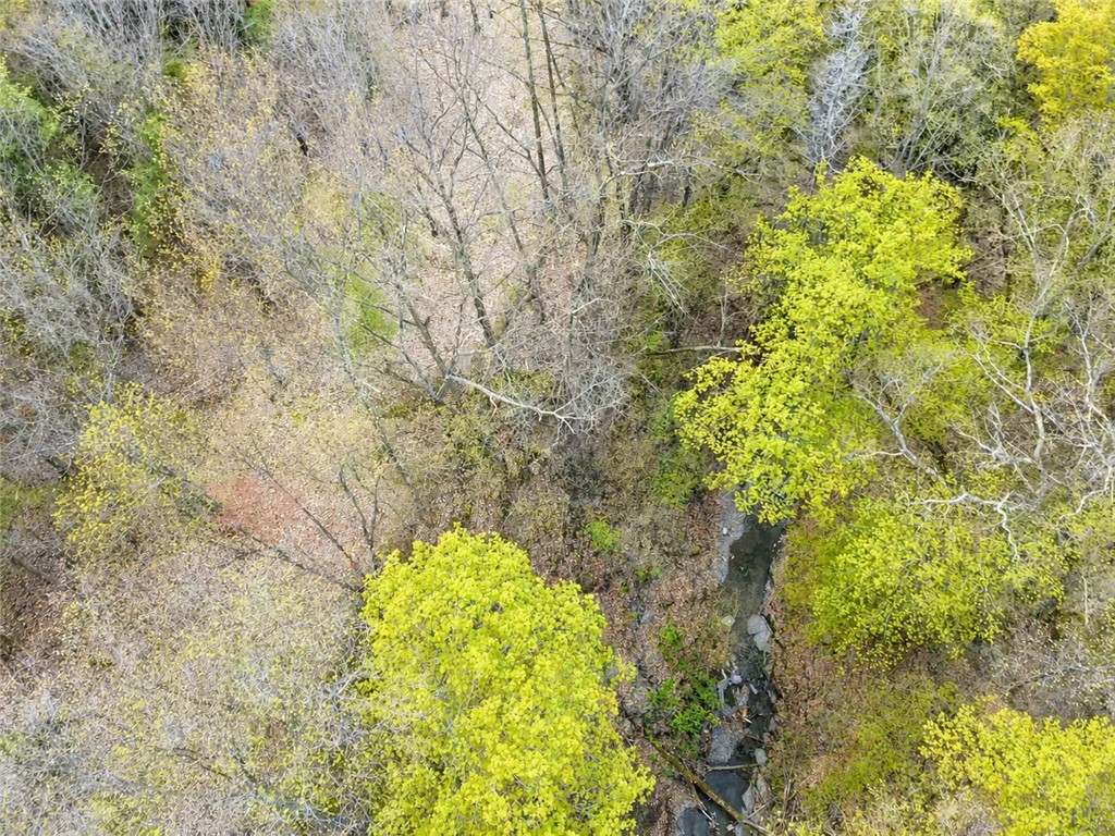 0 Sisson Road Penn Yan, NY 14527 - Photo 19 of 23
