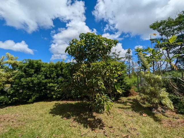 a picture of flowers