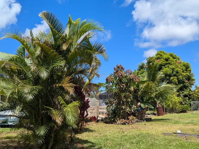 $95,000 | 16-2075 Hanale Drive, Pahoa, HI 96778