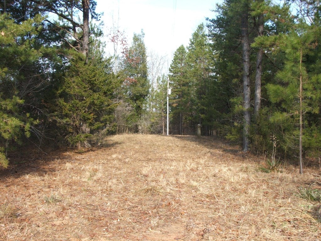 4402 Davis Lowground Road Keysville, VA 23947 - Photo 4 of 11 Gallery Image 4