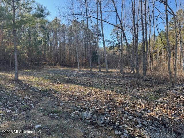 633 County Road Booneville, MS 38829 - Photo 5 of 6 IMG_4593