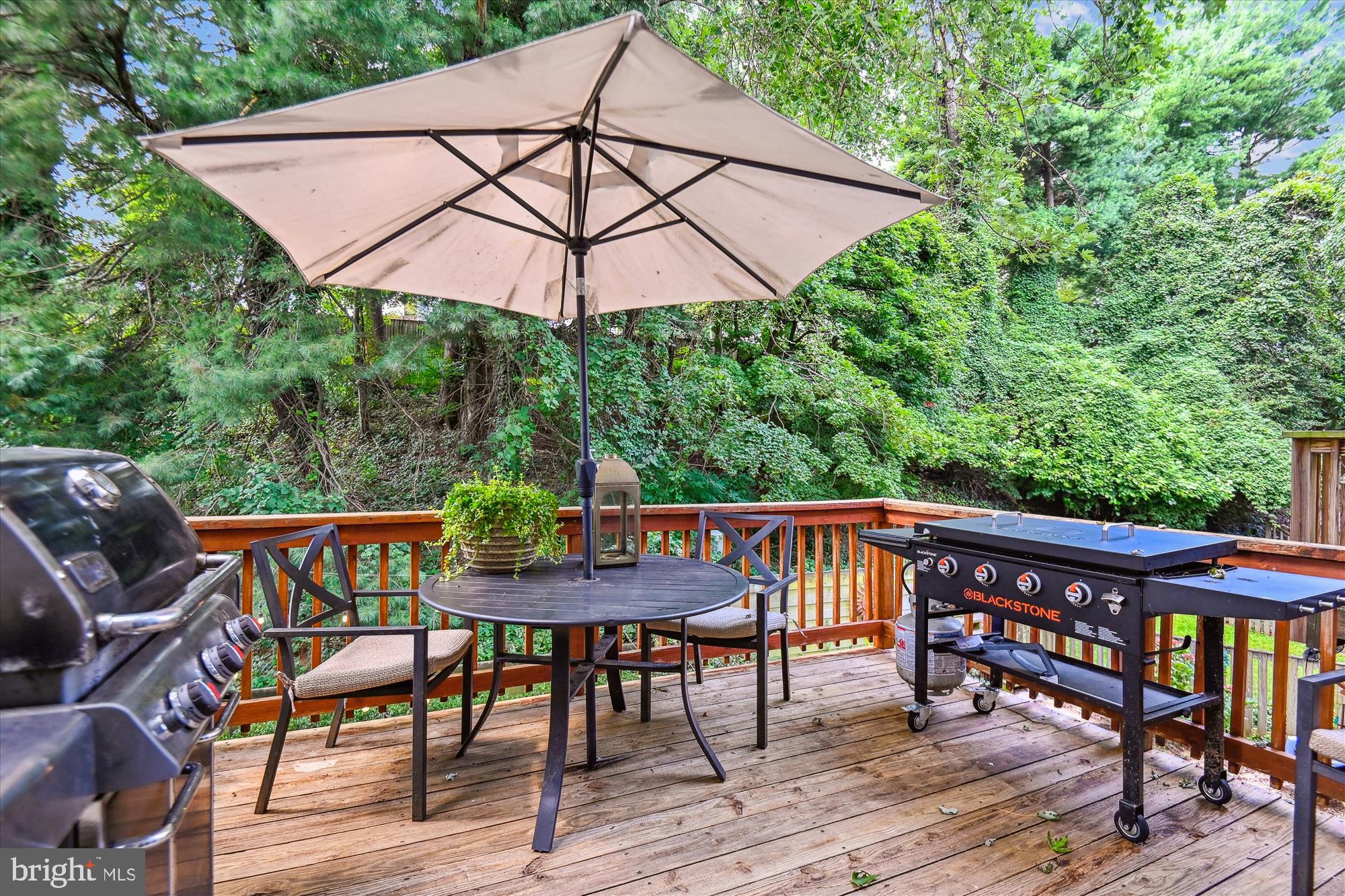 2517 Ebony Road Baltimore, MD 21234 - Photo 8 of 47 AL FRESCO DINING
