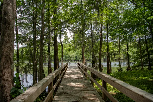 $456,400 | 119 Twisted Oak Trail, Elloree, SC 29047
