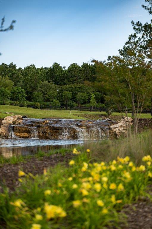 119 Twisted Oak Trail Elloree, SC 29047 - Photo 57 of 58 119 Twisted Oak Trail
