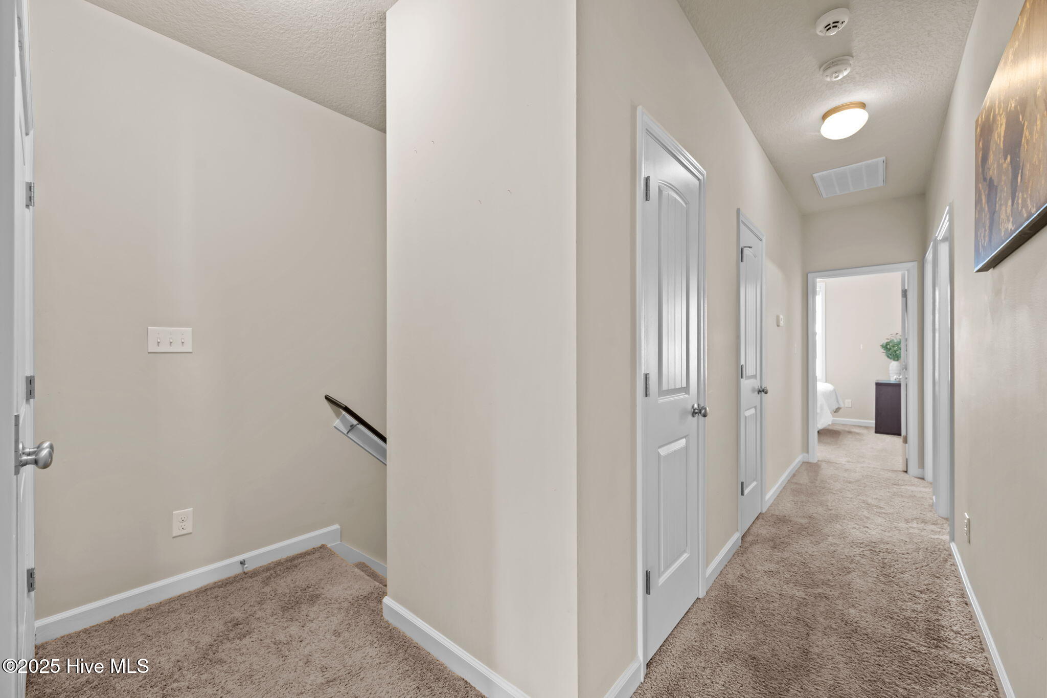 358 Frisco Way Holly Ridge, NC 28445 - Photo 54 of 55 54-web-or-mls-_RAD8875