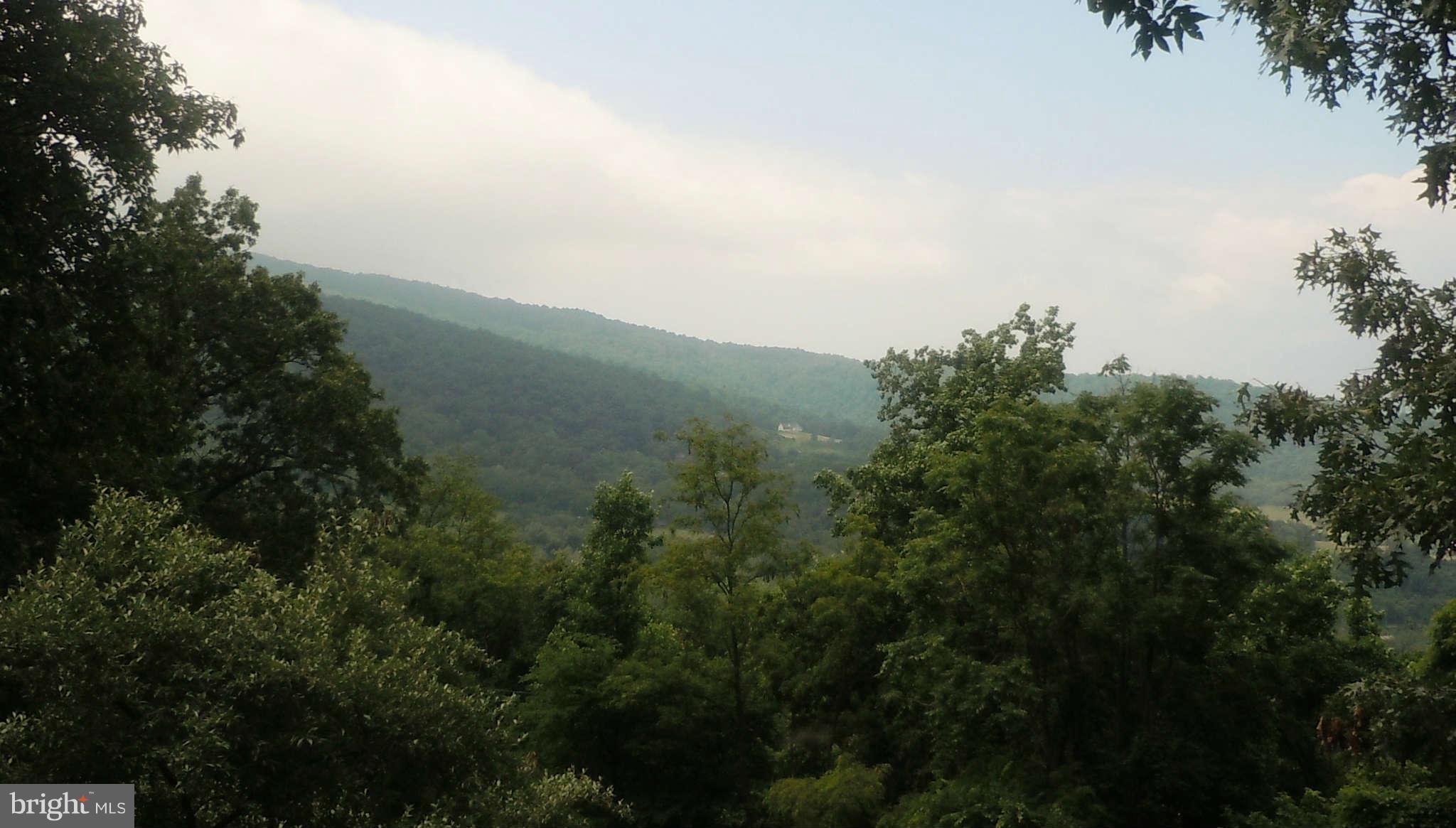 675 Jonathan Road Linden, VA 22642 - Photo 3 of 15 View
