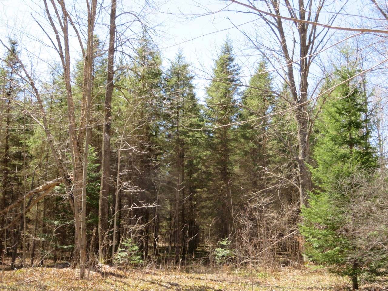 N4765 Shielke Road Gleason, WI 54435 - Photo 15 of 18 Gallery Image 15