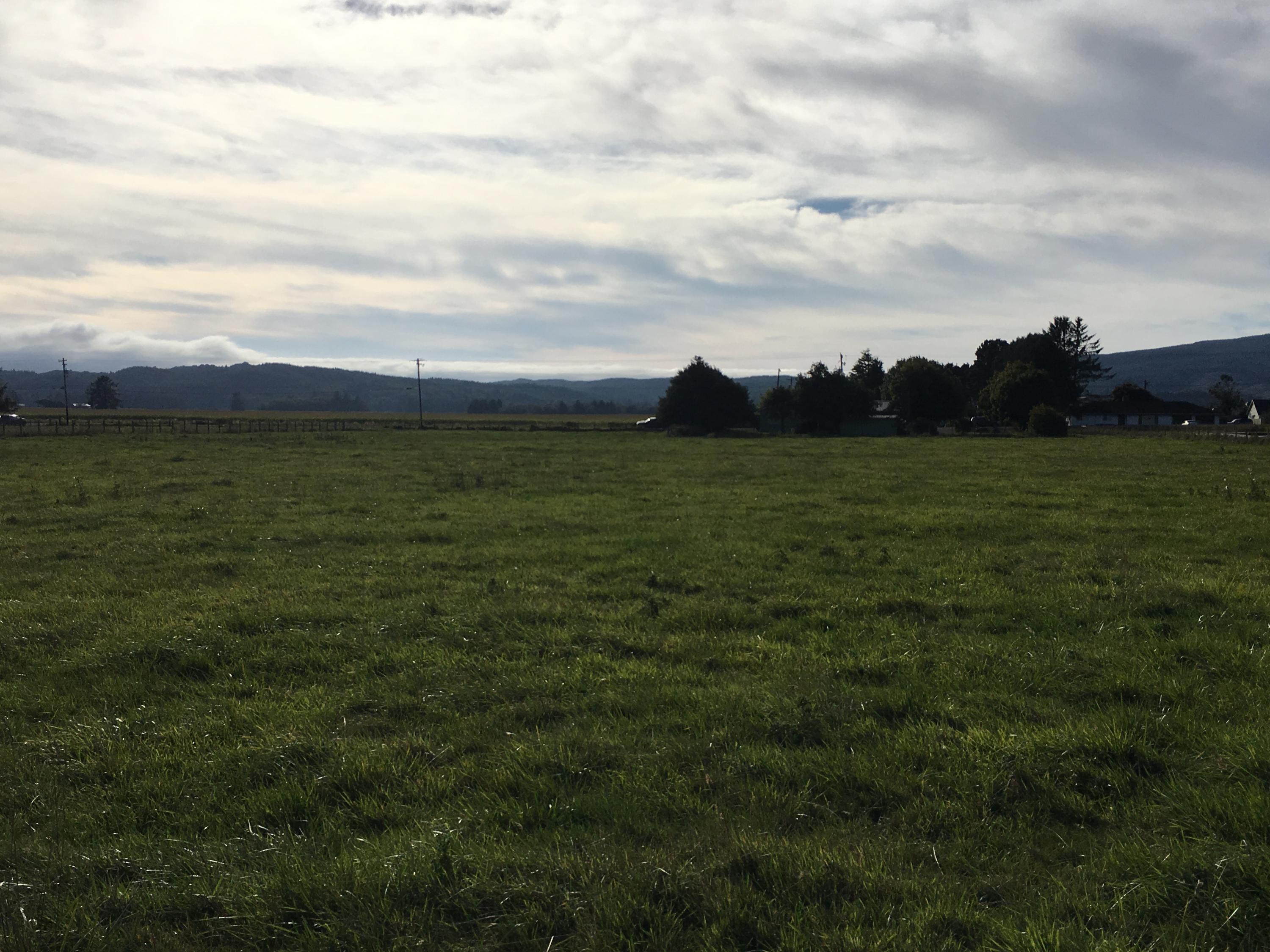 V/l #01403 V/l Road Tillamook, OR 97141 - Photo 4 of 11 IMG_0452