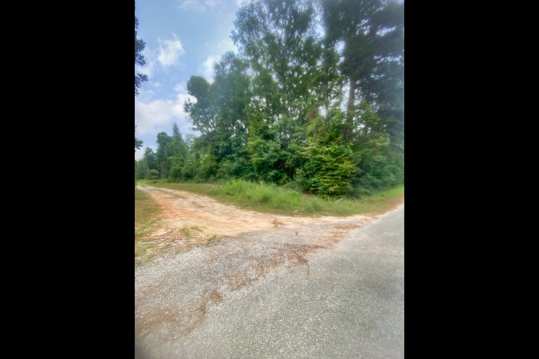 0 Rd 2741 Cleveland Tx 77327 Cleveland, TX 77327 - Photo 2 of 11 a view of a yard with plants and a tree