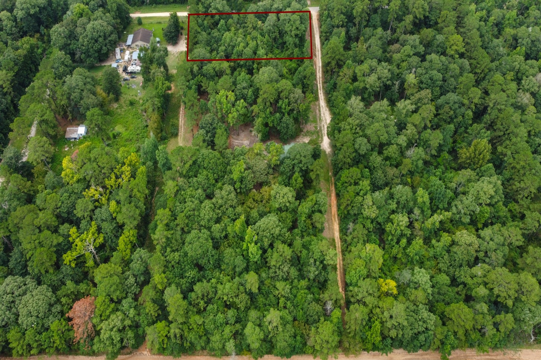 0 Rd 2741 Cleveland Tx 77327 Cleveland, TX 77327 - Photo 4 of 11 a view of a lush green forest with lots of trees