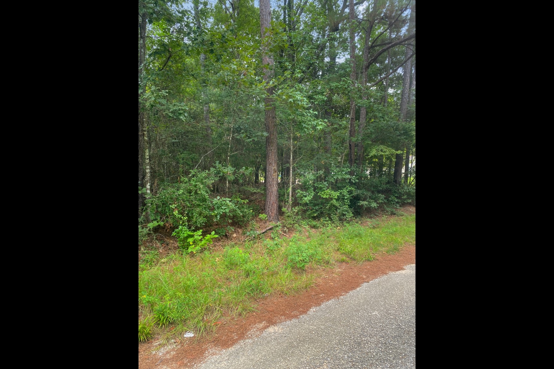 0 Rd 2741 Cleveland Tx 77327 Cleveland, TX 77327 - Photo 6 of 11 a view of a yard with plants