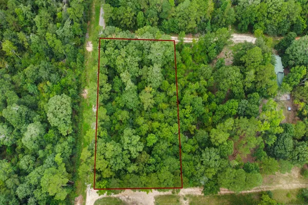 a view of a forest with a houses