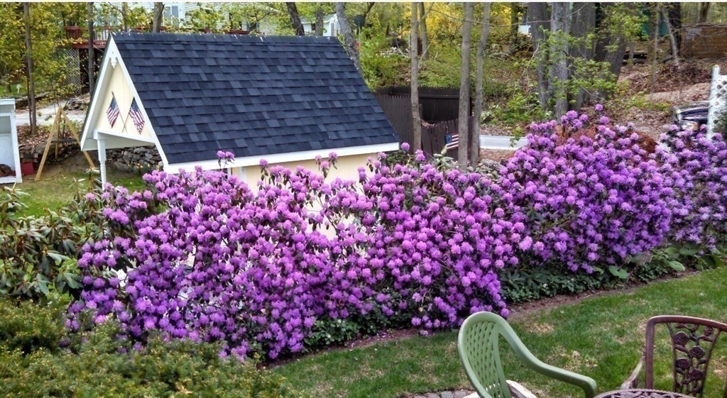 5 Glen Echo Shore Road Charlton, MA 01507 - Photo 34 of 42