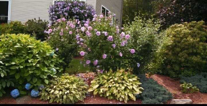 5 Glen Echo Shore Road Charlton, MA 01507 - Photo 37 of 42 a view of flowers in a garden