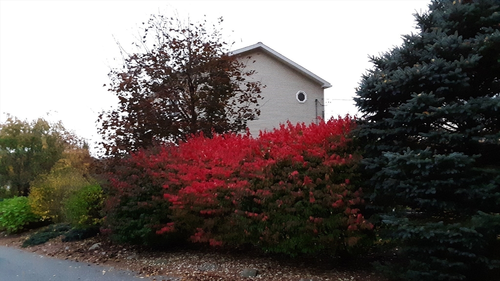 5 Glen Echo Shore Road Charlton, MA 01507 - Photo 39 of 42