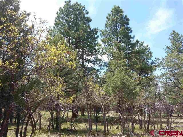 47 Puma Lane Ridgway, CO 81432 - Photo 11 of 28 Gallery Image 11