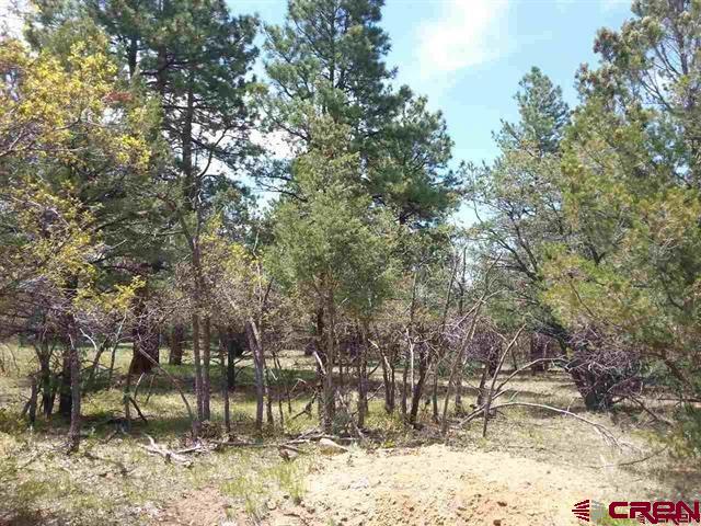 47 Puma Lane Ridgway, CO 81432 - Photo 14 of 28 Gallery Image 14