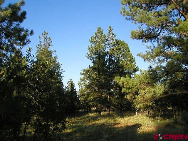 47 Puma Lane Ridgway, CO 81432 - Photo 15 of 28 Gallery Image 15
