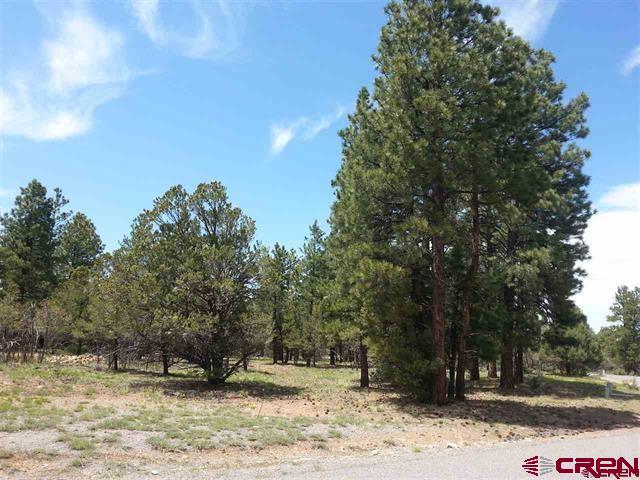 47 Puma Lane Ridgway, CO 81432 - Photo 17 of 28 Gallery Image 17