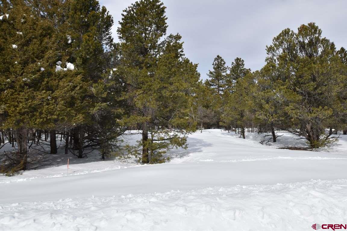 47 Puma Lane Ridgway, CO 81432 - Photo 18 of 28 Gallery Image 18