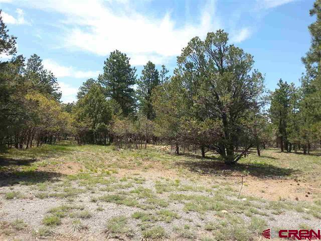 47 Puma Lane Ridgway, CO 81432 - Photo 19 of 28 Gallery Image 19
