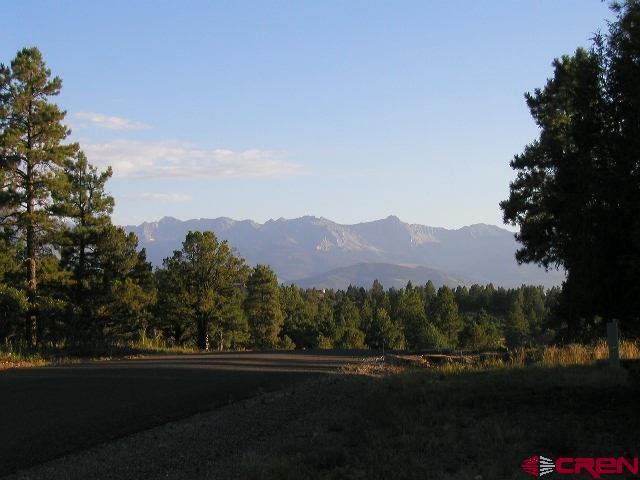 47 Puma Lane Ridgway, CO 81432 - Photo 21 of 28 Gallery Image 21
