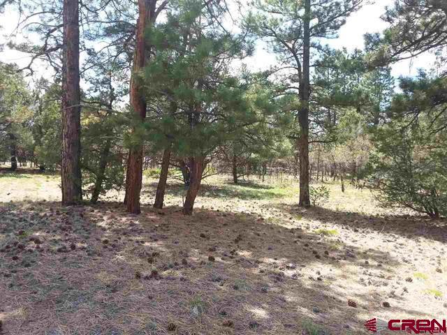 47 Puma Lane Ridgway, CO 81432 - Photo 22 of 28 Gallery Image 22