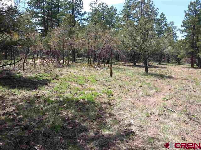 47 Puma Lane Ridgway, CO 81432 - Photo 23 of 28 Gallery Image 23