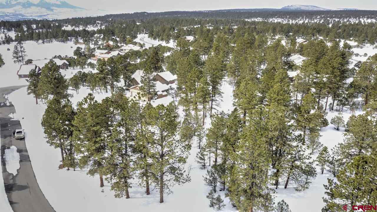 47 Puma Lane Ridgway, CO 81432 - Photo 8 of 28 Gallery Image 8