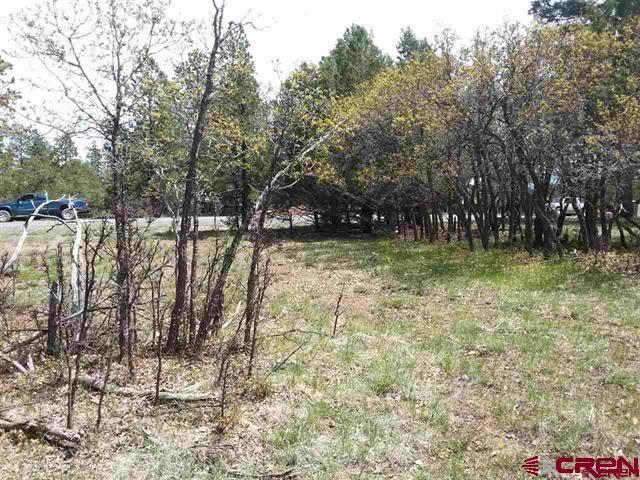 47 Puma Lane Ridgway, CO 81432 - Photo 9 of 28 Gallery Image 9