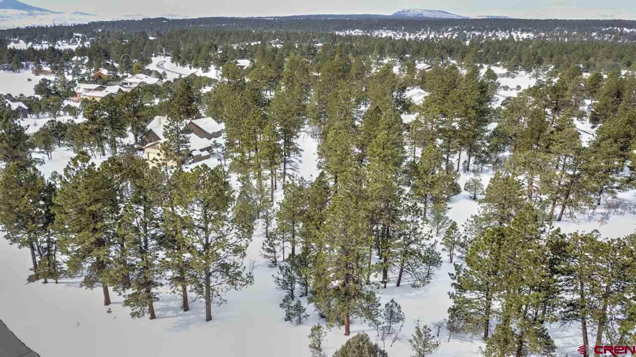 47 Puma Lane Ridgway, CO 81432 - Photo 10 of 28 Gallery Image 10