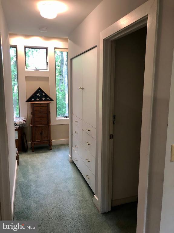 12610 Timber Grove Road Reisterstown, MD 21136 - Photo 24 of 42 Additional storage