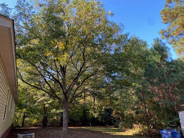 4515 Adams Chapel Road Dearing, GA 30808 - Photo 28 of 32