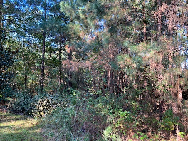 4515 Adams Chapel Road Dearing, GA 30808 - Photo 30 of 32