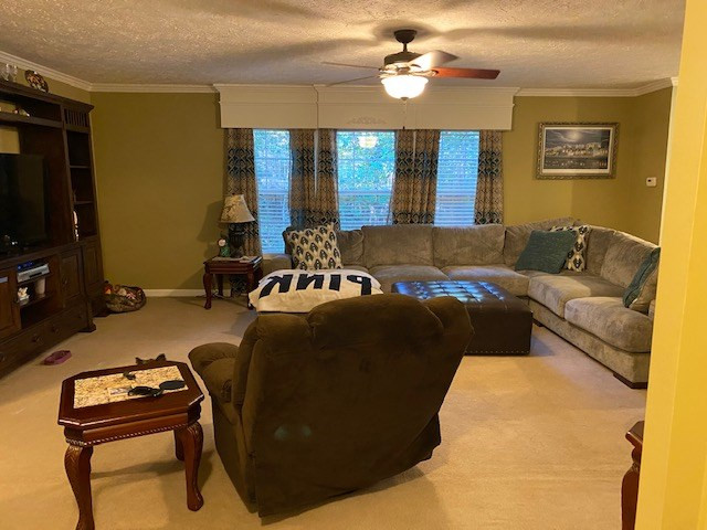 4515 Adams Chapel Road Dearing, GA 30808 - Photo 3 of 32