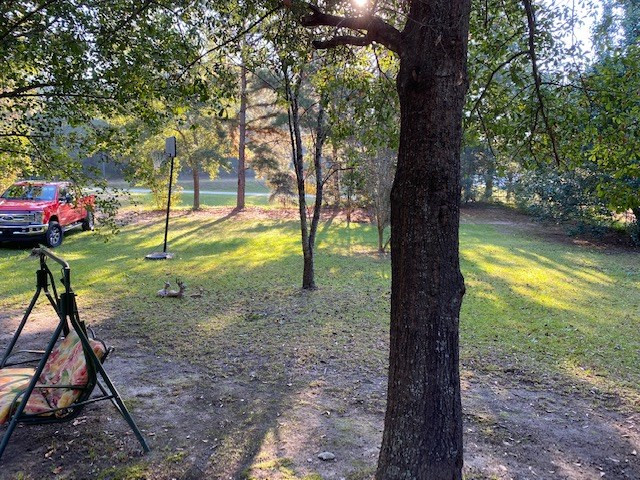 4515 Adams Chapel Road Dearing, GA 30808 - Photo 31 of 32