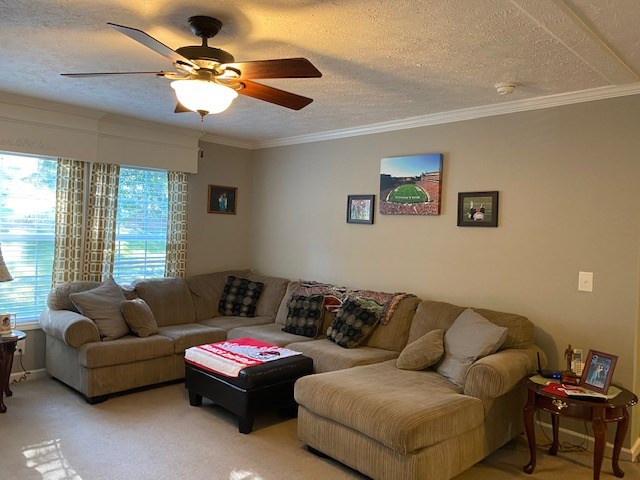 4515 Adams Chapel Road Dearing, GA 30808 - Photo 6 of 32