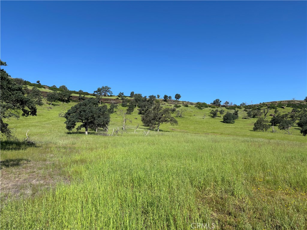 0 Cobble Creek Road Oroville, CA 95965 - Photo 27 of 55 a view of a lush green space with a lake view