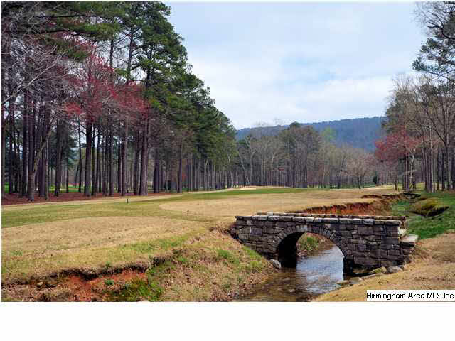 1 Winged Foot Birmingham, AL 35242 - Photo 32 of 32