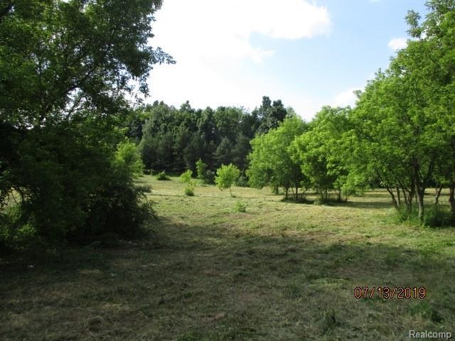 0 Tipsico Lake Road Fenton, MI 48430 - Photo 6 of 6
